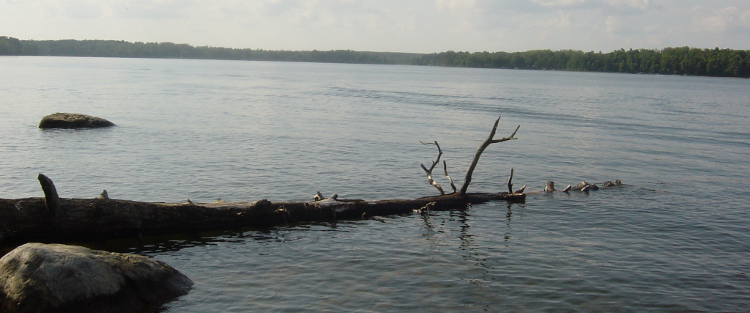  Dockside with Joe Outboard