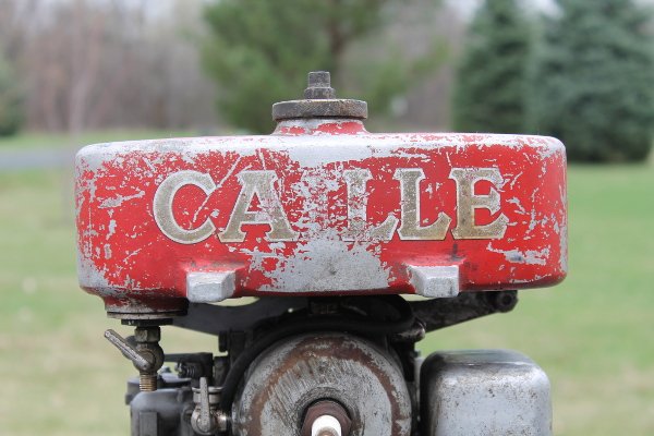 Caille3